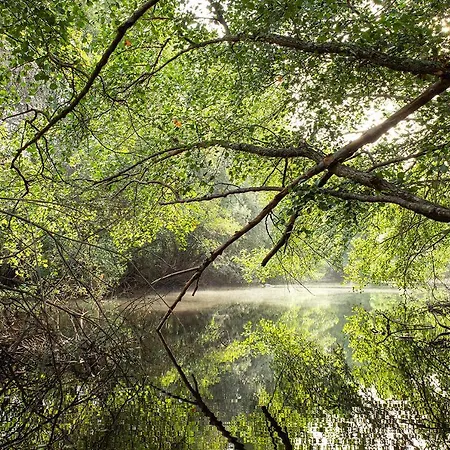 Moinho Da Fadagosa Tatil Evi Macao
