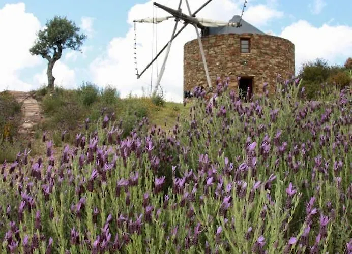Hébergement de vacances Moinho Da Fadagosa Macao