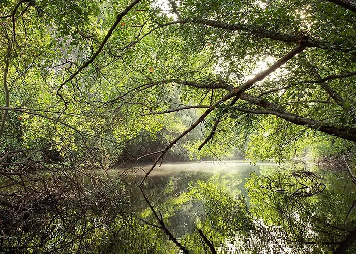 Moinho Da Fadagosa Hébergement de vacances Macao